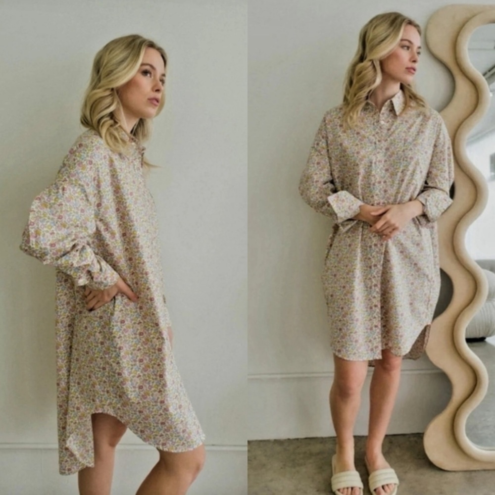 Things Between / Dainty Floral Collared Shirt Dress